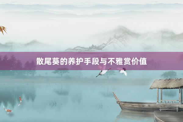 散尾葵的养护手段与不雅赏价值