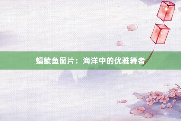 蝠鲼鱼图片：海洋中的优雅舞者